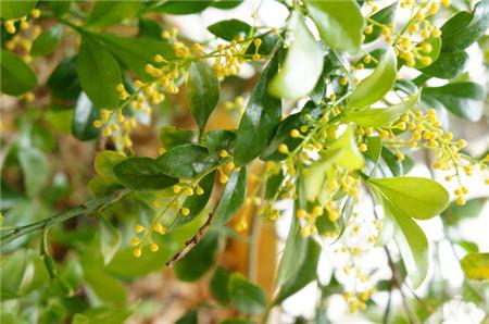 ������ʲôʱ�򿪻���������������ʲô�����������봫˵