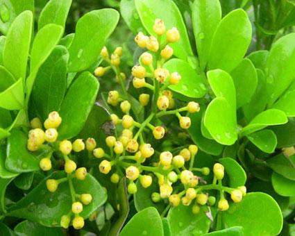 ������ʲôʱ�򿪻���������������ʲô�����������봫˵