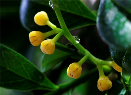 ��������������ô����ʲôԭ�� ����Ҫ��ô�����ܿ���