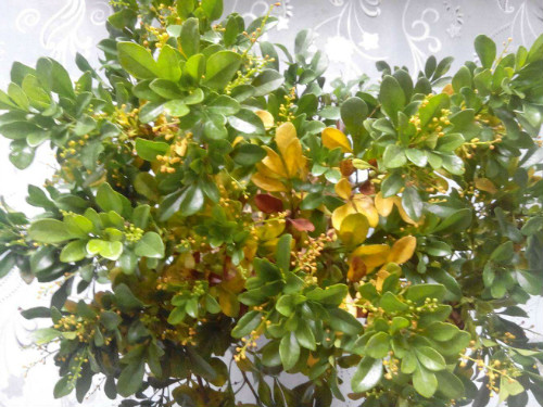 ��������������ô����ʲôԭ�� ����Ҫ��ô�����ܿ���