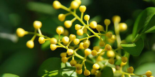 ��������������ô����ʲôԭ�� ����Ҫ��ô�����ܿ���