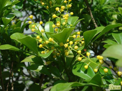 ��������������ô����ʲôԭ�� ����Ҫ��ô�����ܿ���