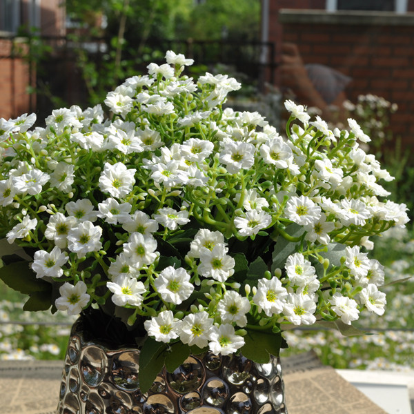 ��������������ô����ʲôԭ�� ����Ҫ��ô�����ܿ���