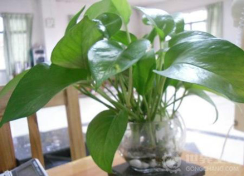 ˮ��������ô�����ÿ� ���ܵ���ֳ������ע����������Щ