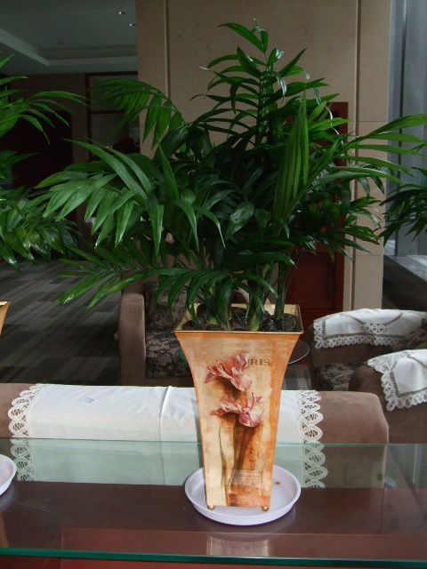 ����Ҭ����ʵ�õ���ֳ������ע������,����Ҭ�ӵķ�ֳ����ͼ��