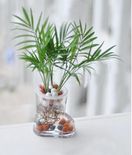 ����Ҭ�ӵ�Ҷ�Ӻ�֭Һ�ж���?����Ҭ�ӵĹ�Ч����������ʲô�ô�