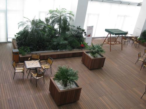 ����Ҭ���ܷ�����������?����Ҭ�Ӽ��аڷŵķ�ˮ���ɼ�ע������