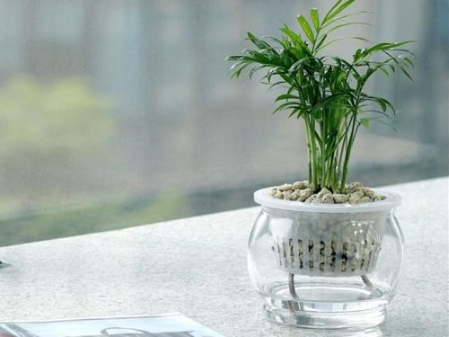 ����Ҭ�Ӷ�ý�һ��ˮ?����Ҭ���½�ˮ������?��������ô��ˮ����