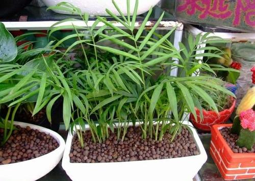 ����Ҭ�Ӷ�ý�һ��ˮ?����Ҭ���½�ˮ������?��������ô��ˮ����