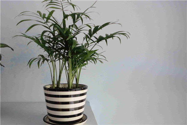 ����Ҭ�Ӷ�ý�һ��ˮ?����Ҭ���½�ˮ������?��������ô��ˮ����