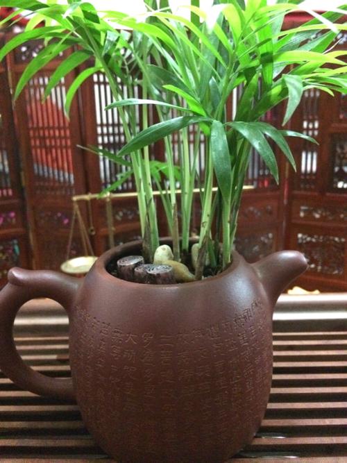 ����Ҭ�Ӷ�ý�һ��ˮ?����Ҭ���½�ˮ������?��������ô��ˮ����