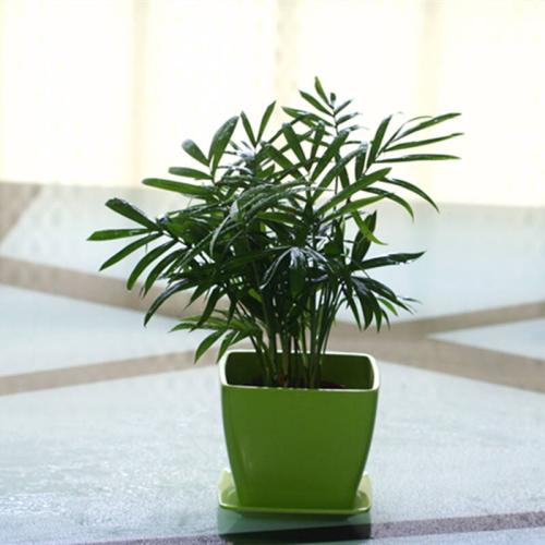 ����Ҭ��һ��Ҫ��ô���ų��ÿ�!����Ҭ�ӿ��Գ����һ�곤������?