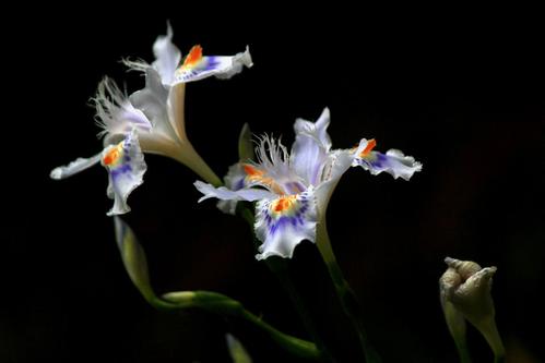 �β�������������ʲôʱ���� �β��������ô����ֲ��������