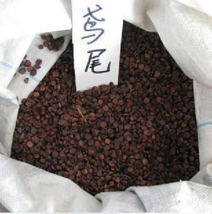 鸢尾种子有什么作用是心形的吗图 鸢尾种子有药用价值吗可以吃吗