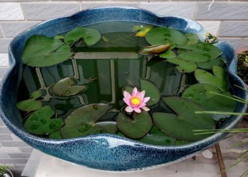 ˯����������һ��Ʒ�����������˯����������