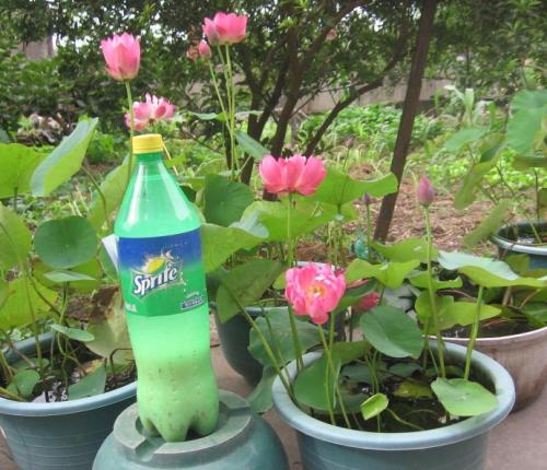 ����Ϊʲô������, �����������ĳ���ԭ���������������ܿ���