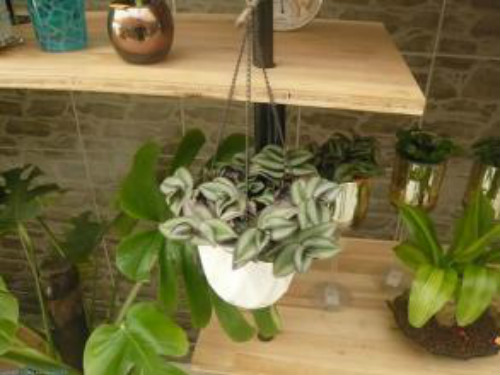 ����÷��ô��Ǥ���� ����÷����ֳ������ע�������ȫ