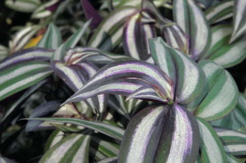 ����÷��ô��Ǥ���� ����÷����ֳ������ע�������ȫ