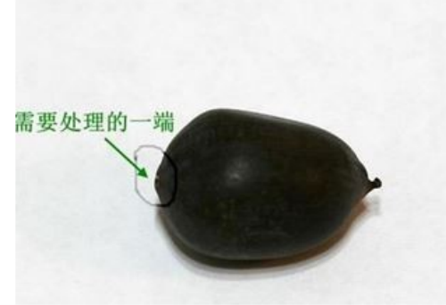 ������������ô�� ��������ֲ����ˮ��ͼƬ�̳�