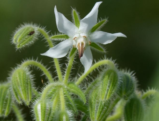 ��������ô�� ���������������ֲ��������ؽ���