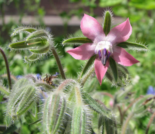 ��������ô�� ���������������ֲ��������ؽ���