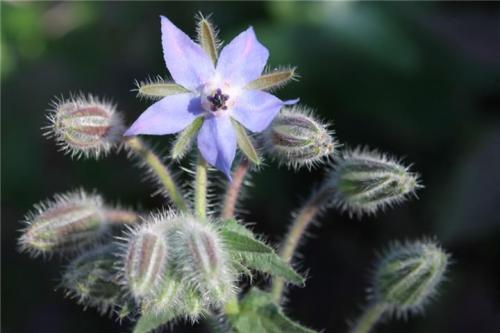 ��������ô�� ���������������ֲ��������ؽ���