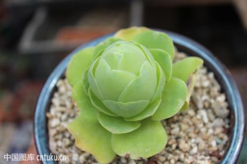 ɽ��õ��Ʒ�ִ�ȫͼ�׼����ּ���?ɽ��õ�忪��ͼƬ��ȫ���ֺÿ�