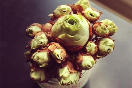 ɽ��õ���ѿǤ�己ֳ����ϸ����ͼ��,ɽ��õ���ѿ��ô������ͼ