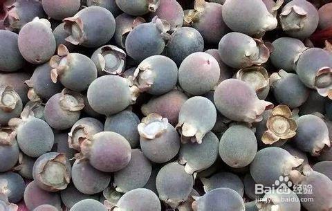 姚金娘是什么植物最常见的种植方法,姚金娘泡酒的功效与作用