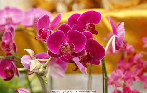 ��򵥺�������ͥ�������� ��������ʲô�����������ô��ͼƬ