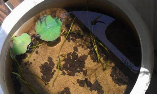 �����������෽�� ��������һֱˮ����  ������û�һ��ˮ