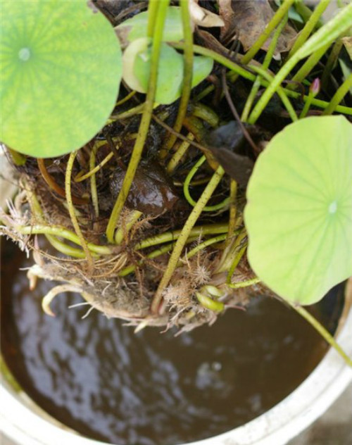 �����������෽�� ��������һֱˮ����  ������û�һ��ˮ