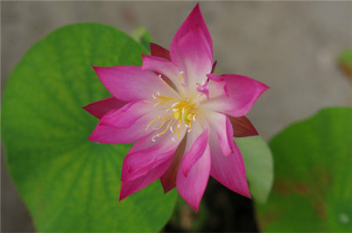 �����������෽�� ��������һֱˮ����  ������û�һ��ˮ