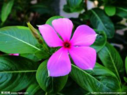 �������ж��������ʲôΣ�� ��������������������