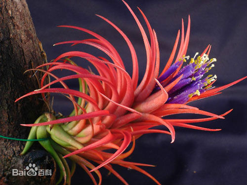 ���������ж����������û��Σ�� ����������ʲô����