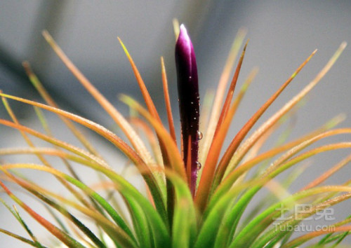 ���������ж����������û��Σ�� ����������ʲô����