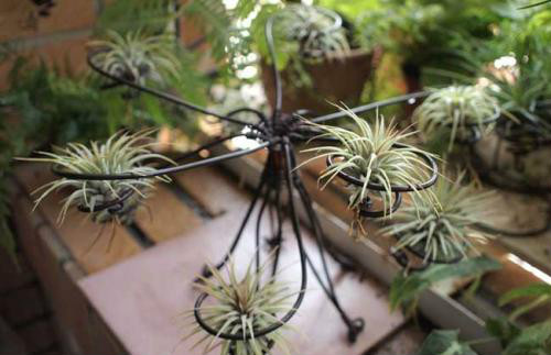 ���������ж����������û��Σ�� ����������ʲô����