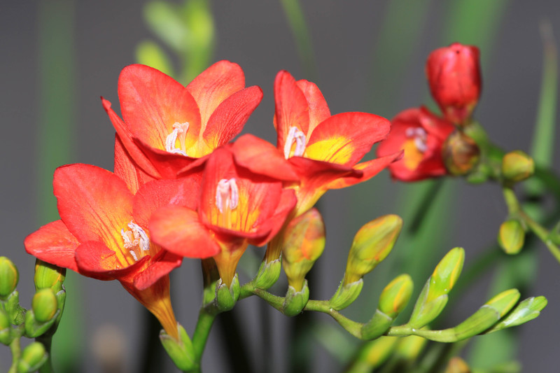 СʲôζжСĻ﹦Чý