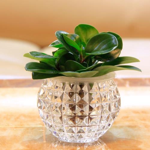 ˮ�ඹ������򵥵���������ͼ��,ˮ�ඹ���̵���ֳ����ע������