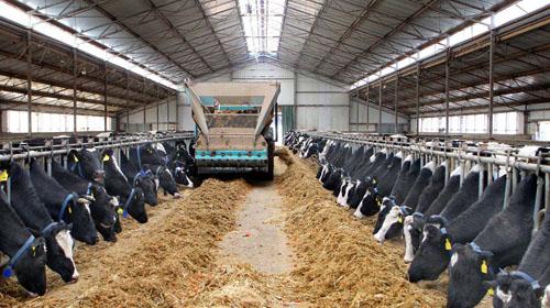 ţ׬ǮΪũ岻ˣũţԭ