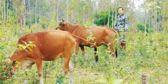 ũôţʲôҪũţ滮ͼ