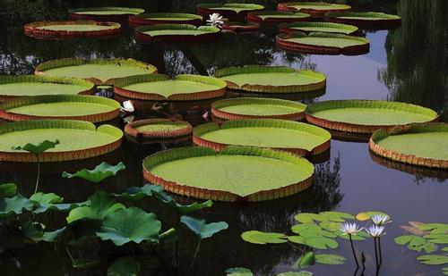 ����������ʲôʱ����ʲô��ɫ�� ����������ͼƬ�ص���ʲô