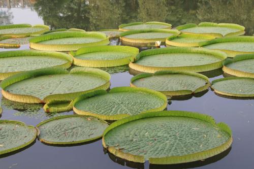 ����������ʲôʱ����ʲô��ɫ�� ����������ͼƬ�ص���ʲô