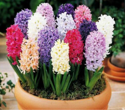 ˮ������ӿ�������ô���� ˮ������ӵ���ֳ������ע�������ȫ