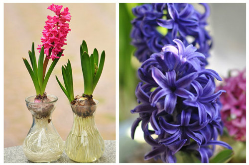 ˮ������ӿ�������ô���� ˮ������ӵ���ֳ������ע�������ȫ