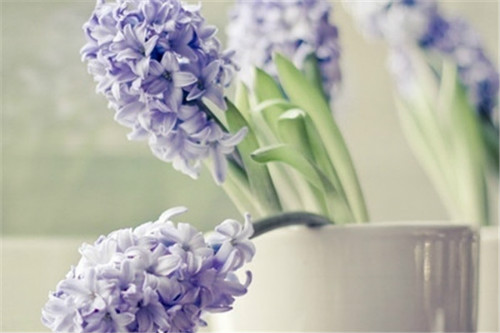 ˮ������ӿ�������ô���� ˮ������ӵ���ֳ������ע�������ȫ