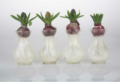 ˮ������ӿ�������ô���� ˮ������ӵ���ֳ������ע�������ȫ