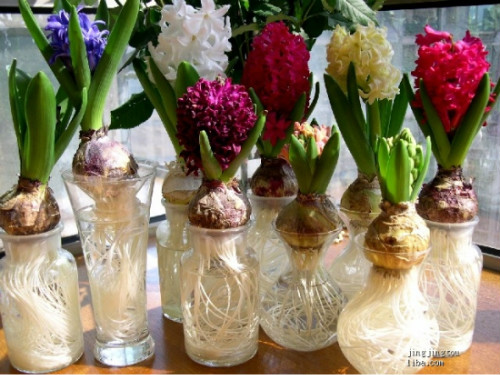 ˮ������ӿ�������ô���� ˮ������ӵ���ֳ������ע�������ȫ