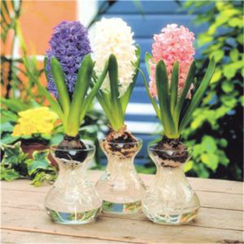 ˮ������ӿ�������ô���� ˮ������ӵ���ֳ������ע�������ȫ