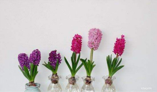 ˮ������ӿ�������ô���� ˮ������ӵ���ֳ������ע�������ȫ